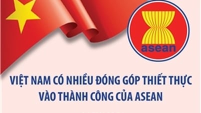 Việt Nam ngày càng trở thành 'ngôi sao sáng' của khu vực ASEAN