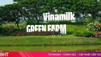 Trang trại Vinamilk Green Farm có gì đặc biệt?