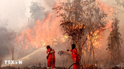 Indonesia: Kích hoạt mưa nhân tạo nhằm dập tắt cháy rừng