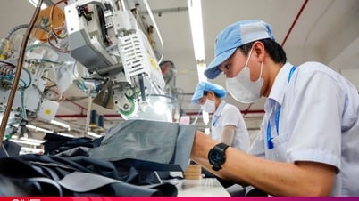 Chuyên gia: Thuế thu nhập cá nhân chỉ nên tối đa 20-25%