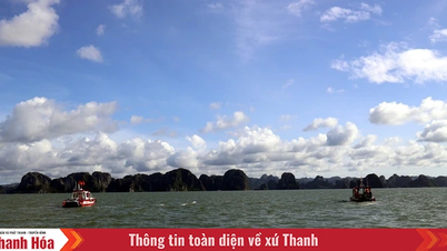 Quảng Ninh: Tìm thấy thi thể nghi là nạn nhân cuối vụ lật tàu Vịnh Xanh 58