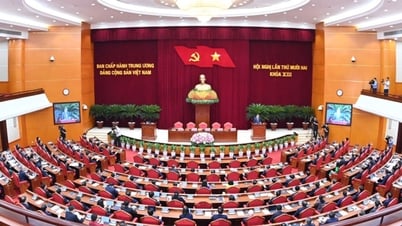 Kết luận của Bộ Chính trị, Ban Bí thư về tiếp tục hoàn thiện tổ chức bộ máy và hoạt động của mô hình chính quyền địa phương 2 cấp