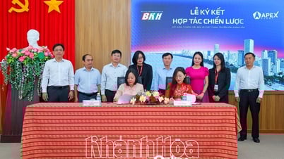 Báo và Phát thanh, Truyền hình Khánh Hòa ký kết hợp tác với Apex Media