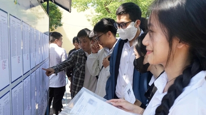 Đại học Đà Nẵng công bố điểm sàn 2025: Bách khoa vượt Y Dược, cao nhất 21,5 điểm