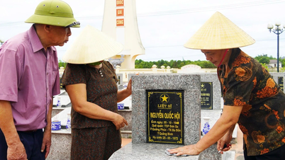 ADN và hành trình về đất mẹ