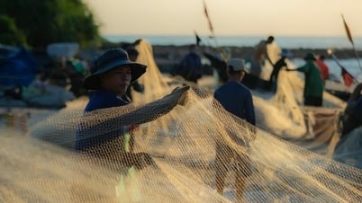 Thăm làng chài thép anh dũng Vịnh Mốc yên bình buổi bình minh, mua cá tươi chỉ 10.000 đồng