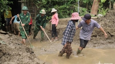 Hãy chia sẻ với nhân dân vùng lũ Nghệ An theo cách thiết thực nhất