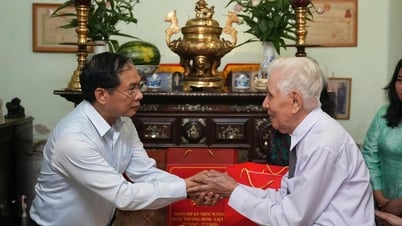 Phó Thủ tướng Chính phủ Bùi Thanh Sơn thăm, tặng quà các gia đình chính sách