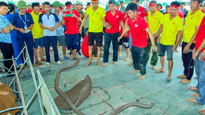 Sôi nổi Ngày hội toàn dân bảo vệ an ninh Tổ quốc phường Lê Thanh Nghị