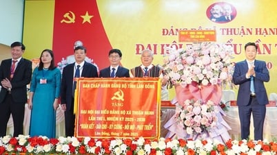 Thuận Hạnh cần khai thác lợi thế sau sáp nhập, phát triển toàn diện