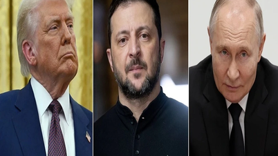 Tổng thống Trump nói cuộc gặp giữa ông Putin và ông Zelensky sẽ diễn ra