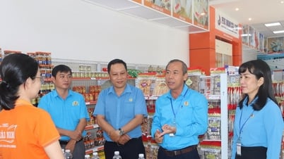 Liên đoàn Lao động tỉnh Lâm Đồng làm việc với các doanh nghiệp