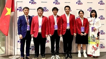 2 học sinh trường Ams giành huy chương Olympic Sinh học quốc tế 2025
