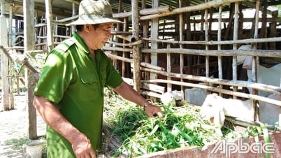 Thương binh Huỳnh Văn Đợi vượt khó, làm kinh tế giỏi