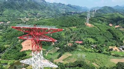 Bảo đảm tốt tiến độ đường dây 500kV qua Lào Cai