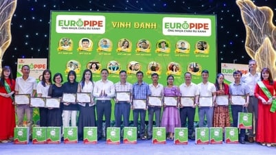 EUROPIPE và hệ thống phân phối cùng nhau tạo nên bước ngoặt mới
