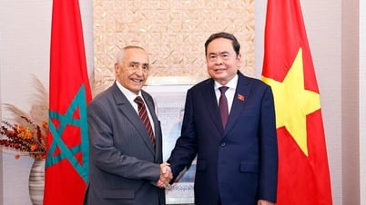 [Photo] National Assembly Chairman Tran Thanh Man receives Chairman of Morocco-Vietnam Friendship Association