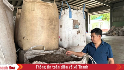 Linh Sơn phát triển nghề chế biến lâm sản