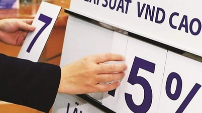 Lãi suất ngân hàng 2025: Xu hướng tăng nhẹ cuối năm, cơ hội gửi tiết kiệm lãi cao