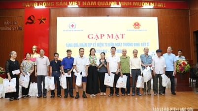 Hội Chữ thập đỏ tỉnh trao tặng 200 suất quà cho hộ chính sách, hộ có hoàn cảnh khó khăn
