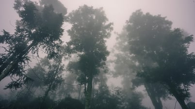 'Làng địa ngục' Sảo Há của Andy Trung