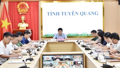 Cho ý kiến vào Dự thảo Nghị quyết tháo gỡ khó khăn trong triển khai Luật Địa chất và khoáng sản