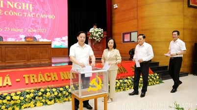 Hội nghị chuyên đề về công tác cán bộ: Giới thiệu nhân sự chủ chốt cho nhiệm kỳ tới