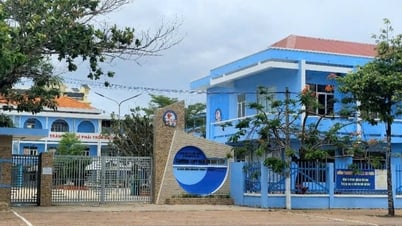 Cà Mau: 8 nguyên giám đốc, phó giám đốc sở ‘có liên quan’ nghe công bố kết luận tố cáo của giáo viên