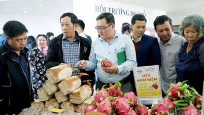 Hơn 100 cơ sở sản xuất tại Lâm Đồng cung cấp nông sản thị trường...
