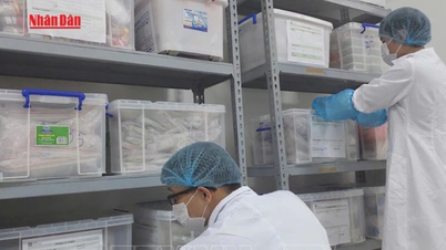 [Video] New advances in technology for identifying martyrs' remains