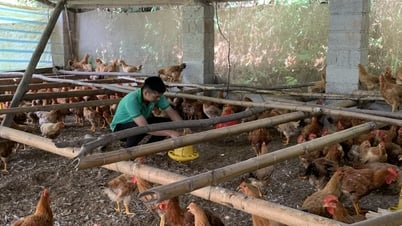 Hỗ trợ triển khai 4 mô hình khuyến nông - Báo Cao Bằng điện tử