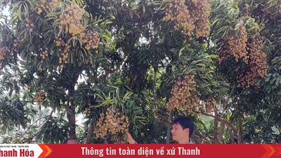 Trưởng bản 8X nhiệt huyết