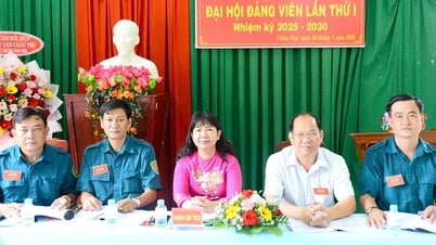 Đại hội đảng viên Chi bộ Quân sự xã Châu Phú lần thứ I, nhiệm kỳ 2025 – 2030