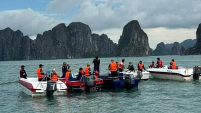 Phát hiện thi thể nghi là nam nạn nhân cuối cùng vụ lật tàu trên Vịnh Hạ Long