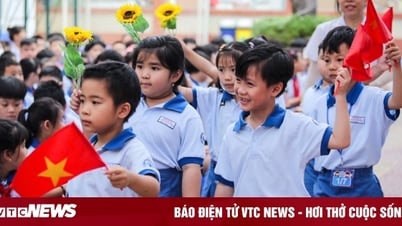 Địa phương nào có nhiều trường học nhất sau hợp nhất?