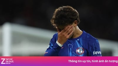 Vụ Joao Felix có biến lớn