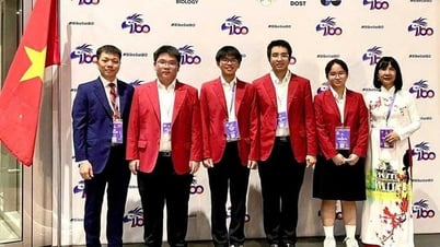 Olympic Sinh học 2025: Việt Nam giành 4 huy chương, vào top 10 thế giới
