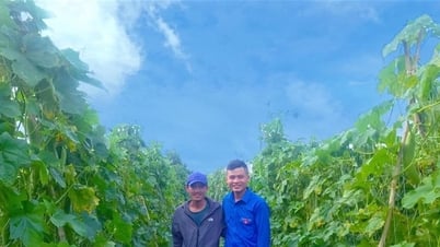 Thạc sỹ ở Lâm Đồng bỏ phố về quê biến xơ mướp thành đồ xuất khẩu cao cấp sang Mỹ, Anh