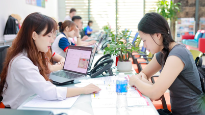 Chênh lệch điểm chuẩn giữa học bạ và điểm thi THPT tại các trường ra sao?