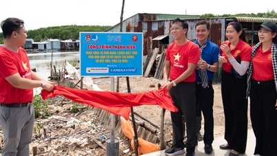 Đội tình nguyện viên nghệ sĩ TP.HCM lắp đèn năng lượng mặt trời, sửa chữa nhà vệ sinh ở Cà Mau