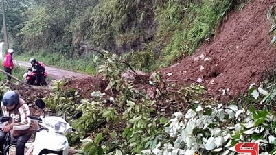 Quỳnh Nhai nhiều diện tích lúa bị ngập úng