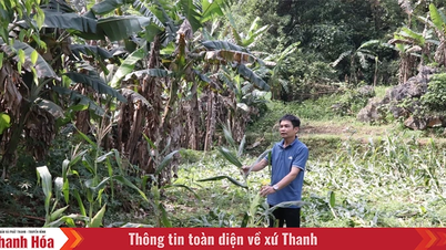 Bí thư chi bộ, trưởng thôn nhiệt huyết với công việc