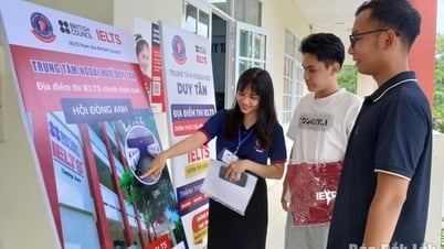 21 thí sinh tham gia Kỳ thi cấp chứng chỉ tiếng Anh quốc tế IELTS