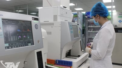 Thái Nguyên: Gần 650 trường hợp được giám định y khoa