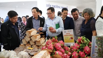 TP.HCM, Lâm Đồng kết nối tiêu thụ nông sản, thực phẩm an toàn