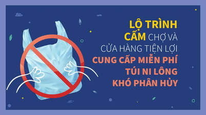 Lộ trình cấm chợ và cửa hàng tiện lợi cung cấp miễn phí túi ni lông khó phân hủy