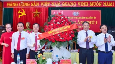 Đại hội Đảng bộ Cơ quan UBKT Tỉnh ủy lần thứ I: Quyết tâm xây dựng ngành Kiểm tra vững mạnh, liêm chính, hiện đại