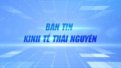 Bản tin Kinh tế Thái Nguyên tuần 4, tháng 7/2025: Thái Nguyên tiếp tục trong Top 5 cả nước về xuất nhập khẩu