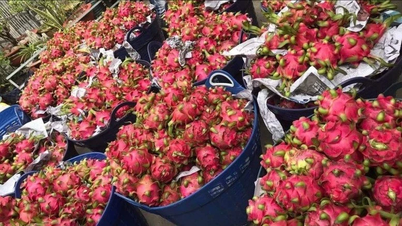 Cần minh bạch biện pháp SPS trong xuất khẩu thực phẩm