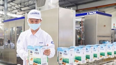 Doanh nghiệp tư nhân: